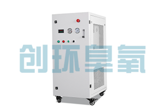 涉县石斑鱼养殖水质调控完整指南：臭氧发生器配置与操作步骤