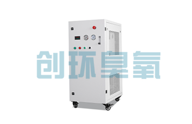 涉县比传统换水更高效？臭氧发生器在石斑鱼养殖中的水质净化原理解析