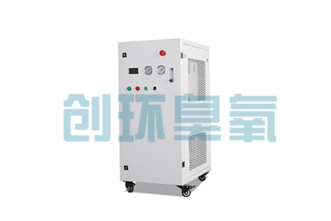 涉县比传统换水更高效？臭氧发生器在石斑鱼养殖中的水质净化原理解析